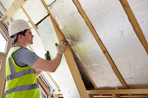 Best DIY Insulation Kits and Guidance in Golden Triangle, NJ