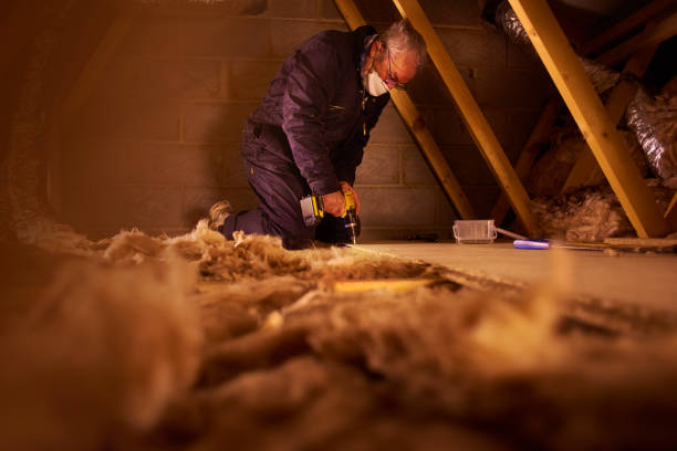Best Insulation Maintenance and Repair in Golden Triangle, NJ